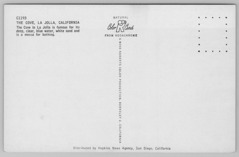 La Jolla California~The Cove ~Standard Chrome Postcard