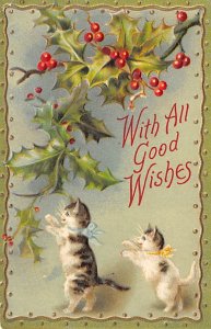 Cat Postcard Old Vintage Antique Cats, Kitten Post Card Unused