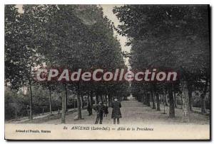 Postcard Old Ancenis Allee Providence