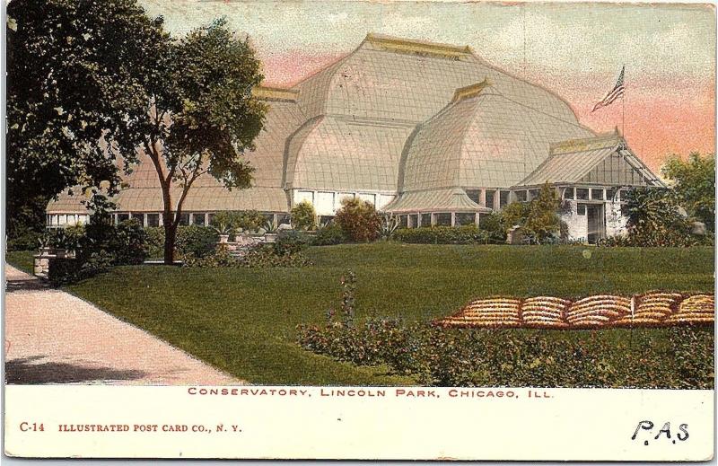 Postcard IL Chicago Lincoln Conservatory UDB Unposted E17