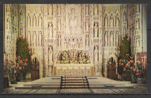 Washington DC - Cathedral - Christmas At The High Altar - [DC-169]