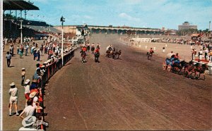 Calgary Alberta Calgary Stampede Chuckwagon Races Chucks Vintage Postcard H38