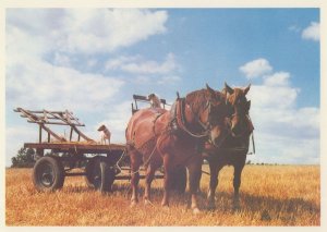Building The Hay Stack Daltons Farm Leavenheath Essex Postcard