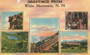 Vintage Postcard 1945 Greetings from White Mountains NH New Hampshire 1 Cent