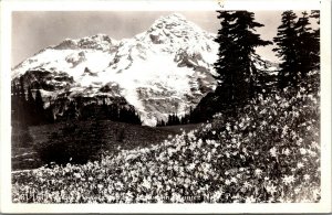 Vtg Wild Flowers and the Mountain Mt Rainer National Park WA 1940s RPPC Postcard