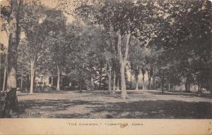 Thompson Connecticut~The Common~Town Green in Trees~B&W 1914 Postcard 