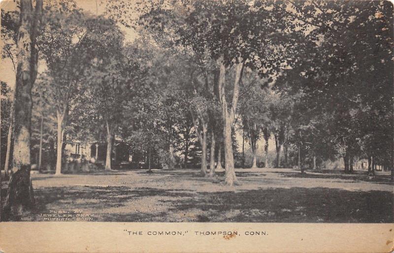 Thompson Connecticut~The Common~Town Green in Trees~B&W 1914 Postcard 