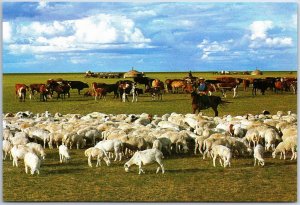 VINTAGE CHINA ILLUSTRATED MAXIMUM POSTCARD INNER MONGOLIA HULUN BUIR GRASSLANDS