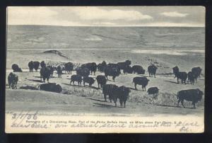 FORT PIERRE SOUTH DAKOTA PHILIP BUFFALO HEARD VINTAGE POSTCARD HUGHES OMAHA