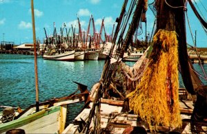 Texas Gulf Coast Shrimp Boats