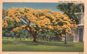 Vintage Postcard 1930's Golden Shower Honolulu T. H. Hawaii HI