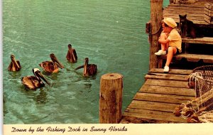 Fishing Dock Black Brown Cat Child Boy Pelicans Florida Postcard Photo Chrome