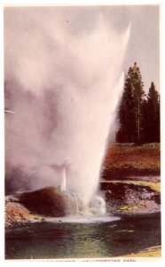 Wyoming  Yellowstone National Park  Riverside Geyser