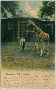 33004 - postcards VINTAGE POSTCARD: GERMANY Germany - HAMBURG Zoo 1913-