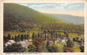 General view Big Indian, New York Postcard