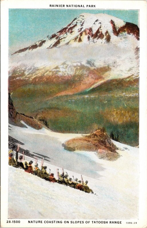 Rainier National Park Nature Coasting Slopes Tatoosh Range WB Postcard VTG UNP 