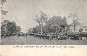 Connecticut ?  East Haddam Grange Fair Cattle Exhibit Vintage Postcard AA71329