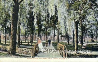 Rustic Bridge, Sanitarium Park in Clifton Springs, New York