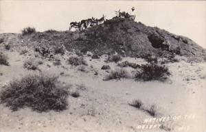 Arizona Donkeys Natives Of The Desert Real Photo