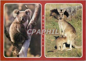 Postcard Modern Australia Two Australians favorite Koala Kangaroo