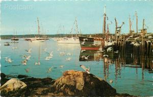 ME, Boothbay, Maine, Harbor, Fishing Boats, Yachts, Dexter Press No. 72757