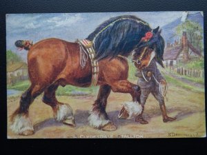 Clydesdale A CLYDESDALE STALLION N. Drummond c1926 Postcard by Raphael Tuck 3109