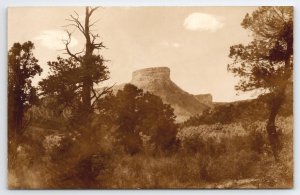 CO Point Lookout Mesa Verde National Park Alexander Photo Colorado Postcard Y21