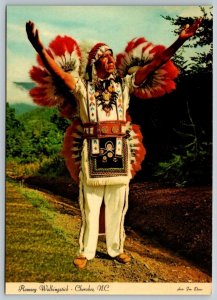 Cherokee  North Carolina  Ramsey Walkingstick Postcard