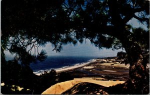 Vtg 1940s Torrey Pine Park Area Murrieta California CA Chrome Postcard