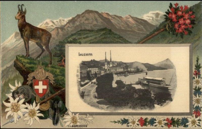 Luzern Switzerland Fancy Border Shield Crest Animal c1910 Postcard