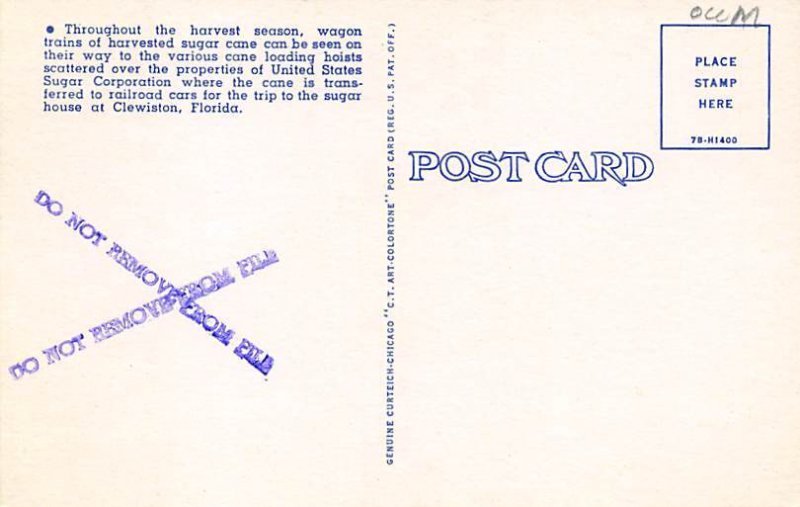 Field Transportation  Clewiston FL