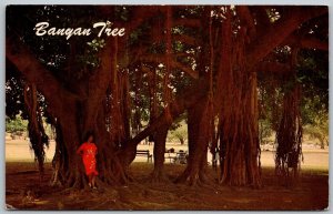 Lahaina Maui Hawaii 1960s Postcard Pretty Girl Leaning On Banyan Tree