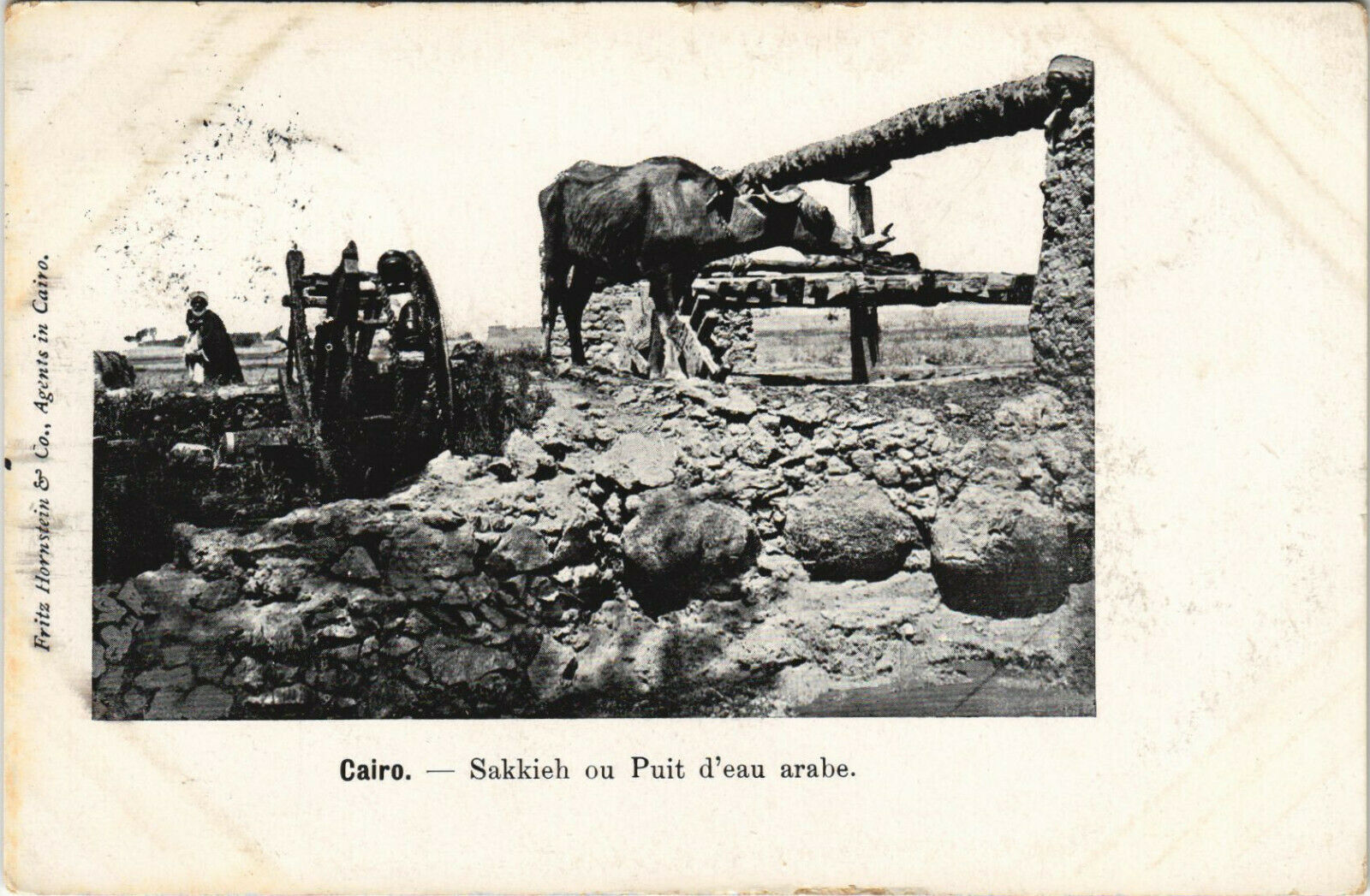 PC EGYPT, CAIRO, CHEICH ARABE, VINTAGE POSTCARD (B36029