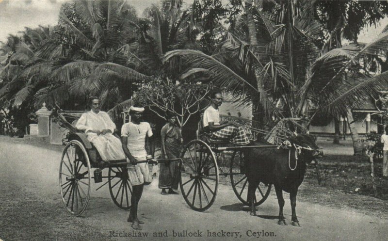 PC CPA CEYLON - SRI LANKA, RICKSHAW AND BULLOCK HACKERY, POSTCARD (b14878)