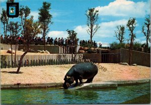 Zoological Park Madrid Postcard PC319