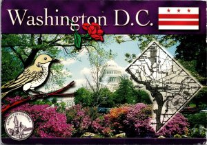 Washington District of Columbia US Capitol Washington DC Postcard PC65