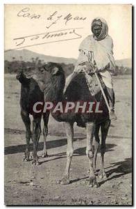 Old Postcard Camel Camel Camel Driver