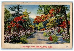 c1940 Greetings From Bald Knob Road Pathway Flower Arkansas AR Unposted Postcard