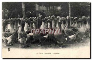 Old Postcard A family villegiature (geese breeding)