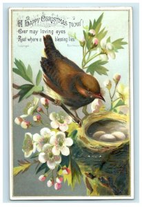 1870s-80s Eden Hooper Embossed Victorian Christmas Card Bird Nest Eggs Fab! P209