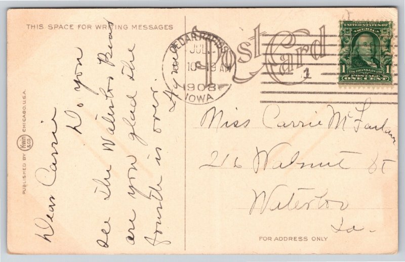 Cedar Rapids Iowa~Victorian Lady Views The Bear's Den~Beaver Park~1908 Postcard