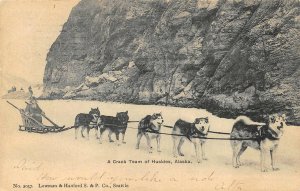 A CRACK TEAM OF HUSKIES ALASKA DOG SLED TEAM POSTCARD 1906