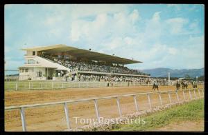 Caymans Race Track, near Kingston, Jamaica