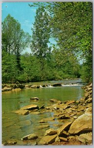 Portsmouth Ohio 1960s Postcard Scenic Stream Shawnee State Forest