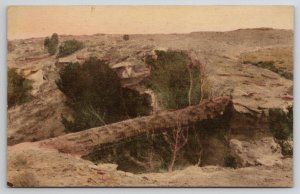 Arizona Natural Bridge Petrified Forest Near Adamana Hand Colored Postcard P22