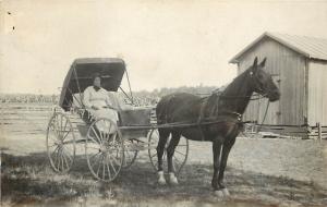 c1910 Real Photo Postcard; Farm Woman Driving Horse & Buggy, Unposted