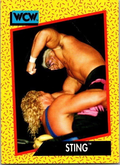 1991 WCW Wrestling Card Sting sk21249