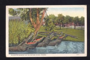 PANAMA CANAL ZONE ALLIGATOR QUARTET ON THE BAYANO RIVER VINTAGE POSTCARD