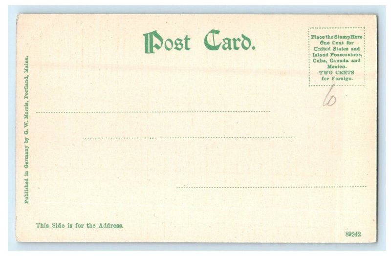 c1905s Steamer Mt. Washington Sailing Antique Unposted Postcard