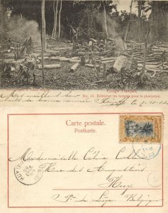 french congo, Forest Clearance for Planting (1903) Postcard